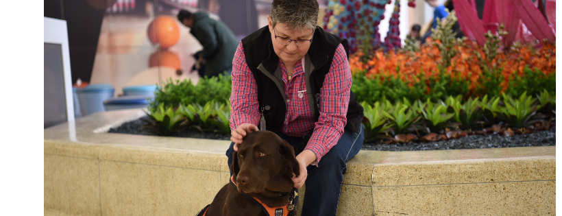 Courageous Companions Inc