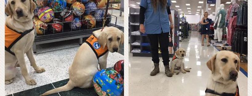 Empower Assistance Dogs