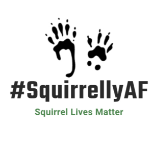 SquirrellyAF Inc Logo