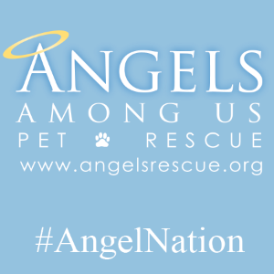 Angels Among Us Pet Rescue Logo