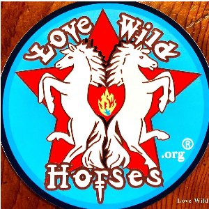 Love Wild Horses Logo