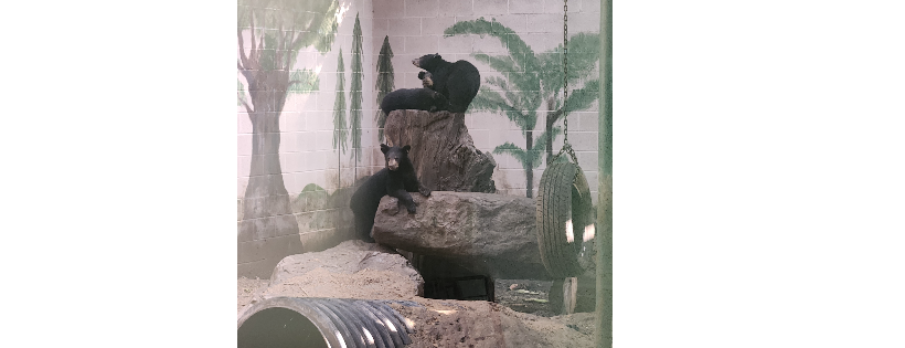 Pocono Wildlife Rehabilitation and Education Center