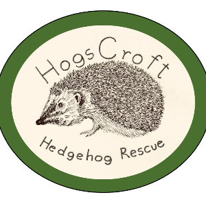 Hogscroft Hedgehog Rescue Logo