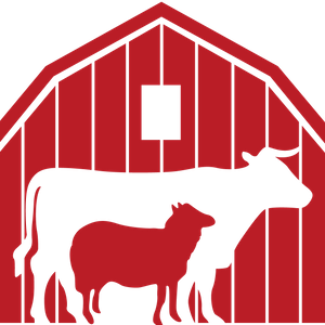 Barn Sanctuary