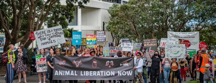 Wellington Vegan Actions (WVA)
