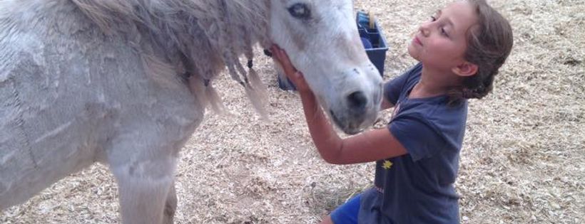 Live and Let Live Farm Rescue & Sanctuary