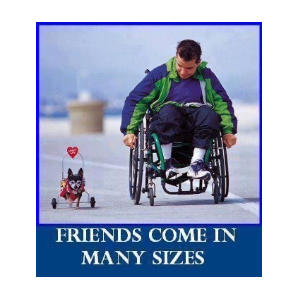 True Faithful pet rescue mission Logo