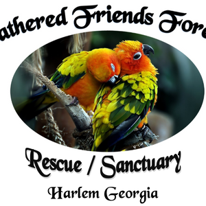 Feathered Friends Forever Rescue/Sanctuary