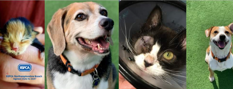 RSPCA Northamptonshire