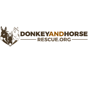 Donkey and Equine Haven Logo