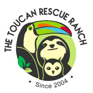 Toucan Rescue Ranch Logo