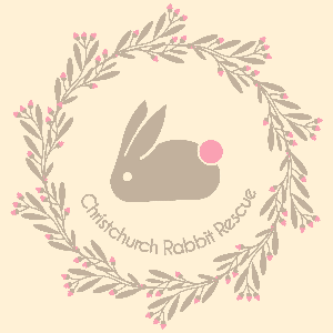 Christchurch Rabbit Rescue