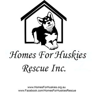 Homes For Huskies Rescue Inc