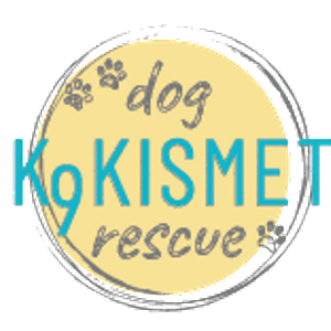 K9 Kismet Rescue Logo