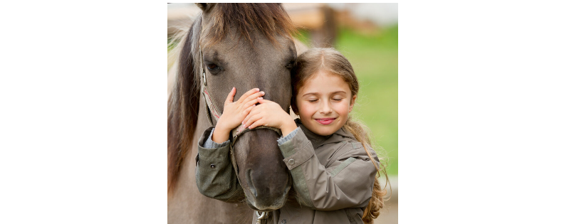 Animals 4 Healing
