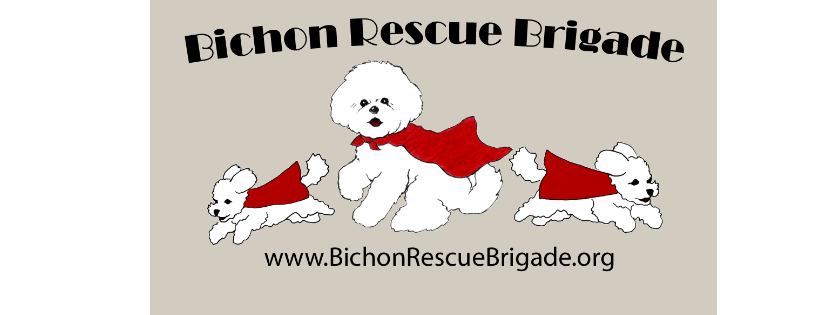 Bichon Rescue Brigade