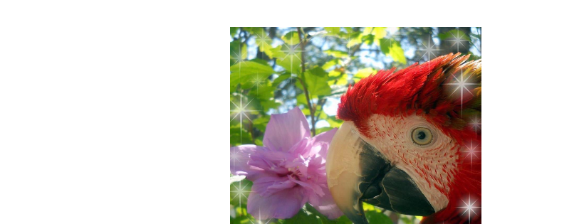 The Global Nest Exotic Bird Sanctuary