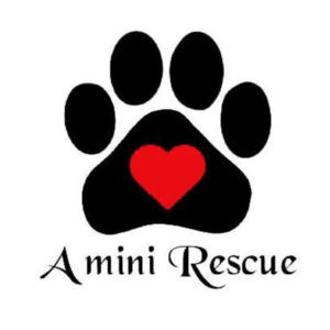 A Mini Rescue Logo