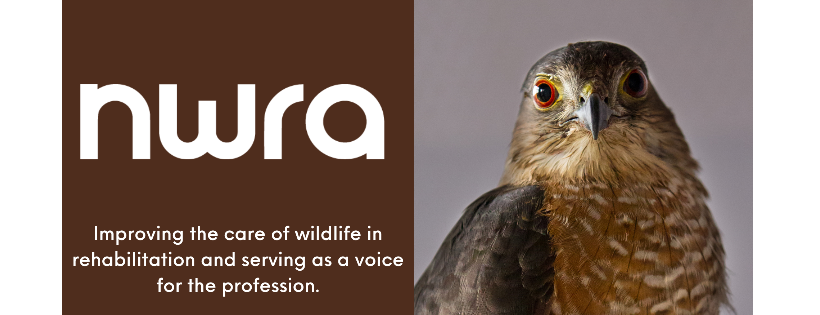National Wildlife Rehabilitators Association