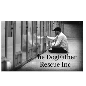 The Dogfather Rescue Inc.