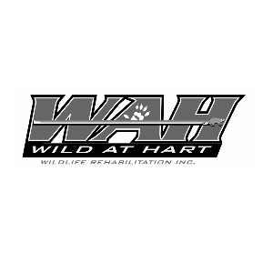 Wild At Hart Wildlife Rehabilitation Inc. Logo