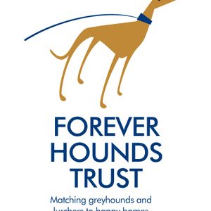 Forever Hounds Trust