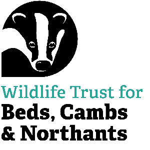The Wildlife Trust BCN