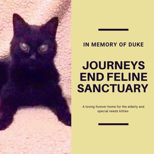 Journey's End Feline Sanctuary