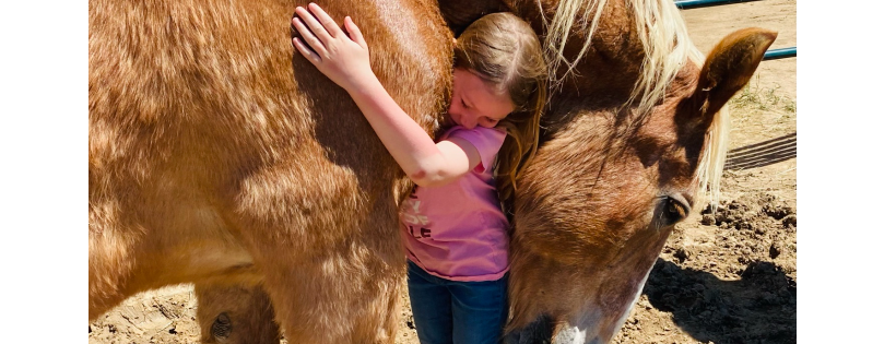 Believe Ranch and Rescue