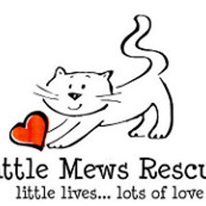 Little Mews Rescue Logo