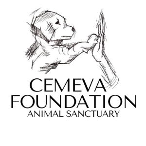 Cemeva Foundation Logo