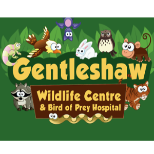 Gentleshaw bird of prey wildlife hospital