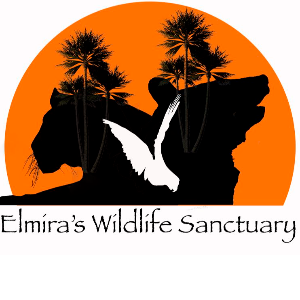 Elmira’s wildlife sanctuary