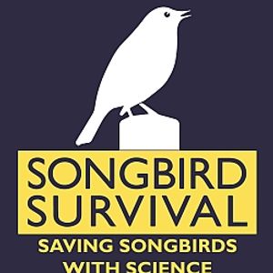 Songbird Survival