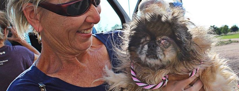 National Mill Dog Rescue