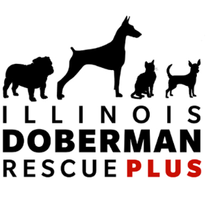 Illinois Doberman Rescue Plus Logo