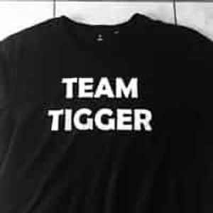 Team Tigger Logo