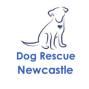 Dog Rescue Newcastle Logo