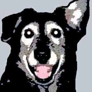 The Mylo Foundation Logo