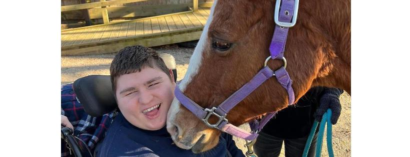 Specialized Equine Services and therapeutic riding