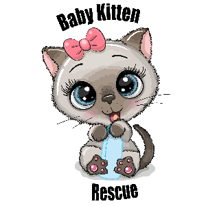 Baby Kitten Rescue Logo