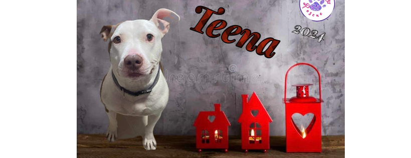 Tuff Dawgs Rescue