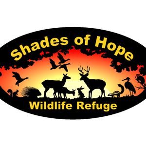 Shades of Hope Wildlife Refuge