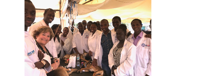 Vet Treks Foundation