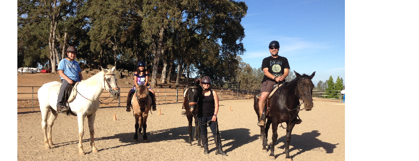 Healing Pastures at C-Horse Ranch