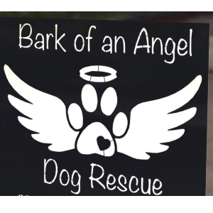 Bark of an Angel Dog Rescue,inc. Logo