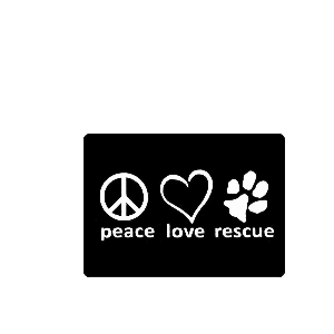 FIGHTING CHANCE RESCUE 501c3