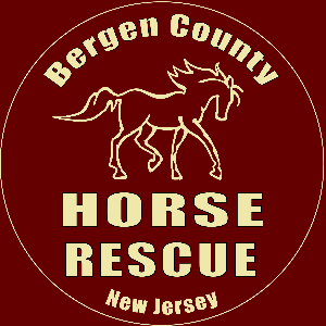 Bergen County Horse Rescue Logo