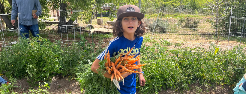 Farm Discovery at Live Earth