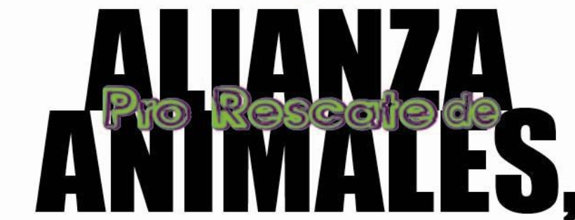 Alianza Pro Rescate Animales